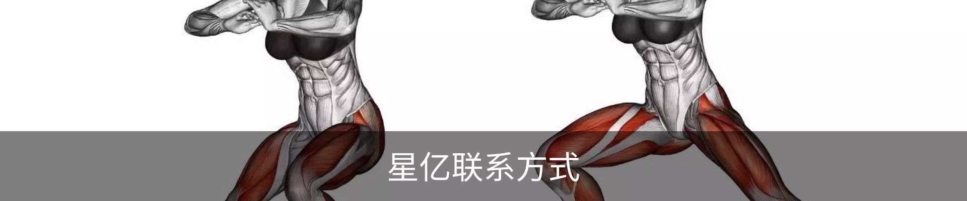 星亿联系方式
